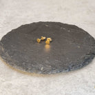  עגילי גולדפילד 14K צמודים עם דיסק עגול מלוטש אלגנטיות מינימליסטית