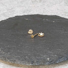 עגילי כוכב גולדפילד צמודים - תכשיטי זהב אלגנטיים לנשים